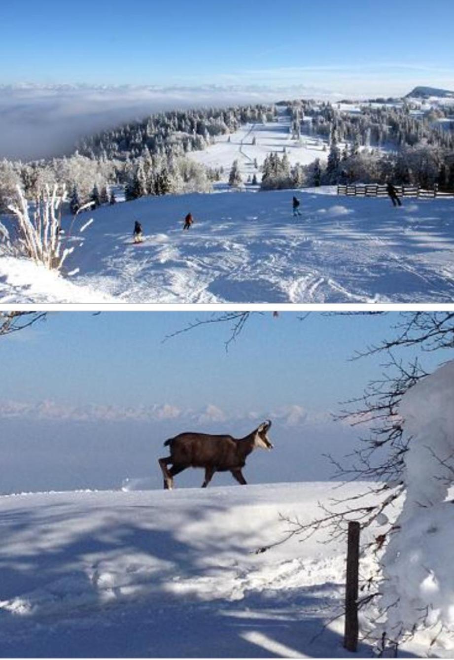 Le Chamois Mont D'Or Apartamento Métabief Exterior foto
